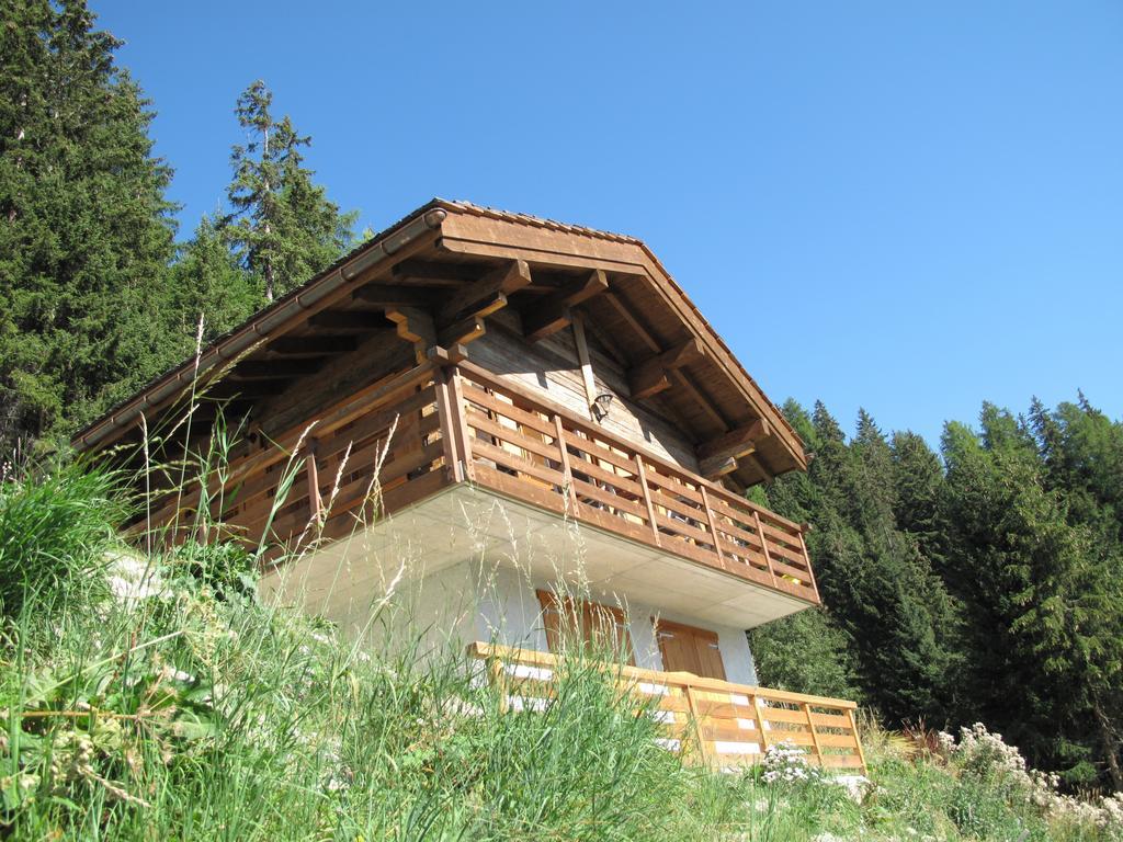 Chalet Amos Villa Грименц Екстериор снимка